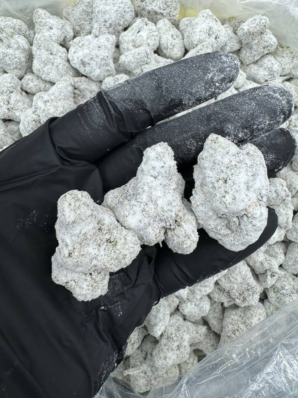 Top Shelf Snow Cap